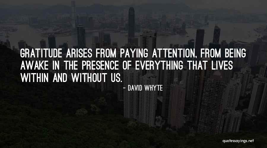 Adelheide Switzerland Quotes By David Whyte Adelheide Switzerland Quotes By David Whyte