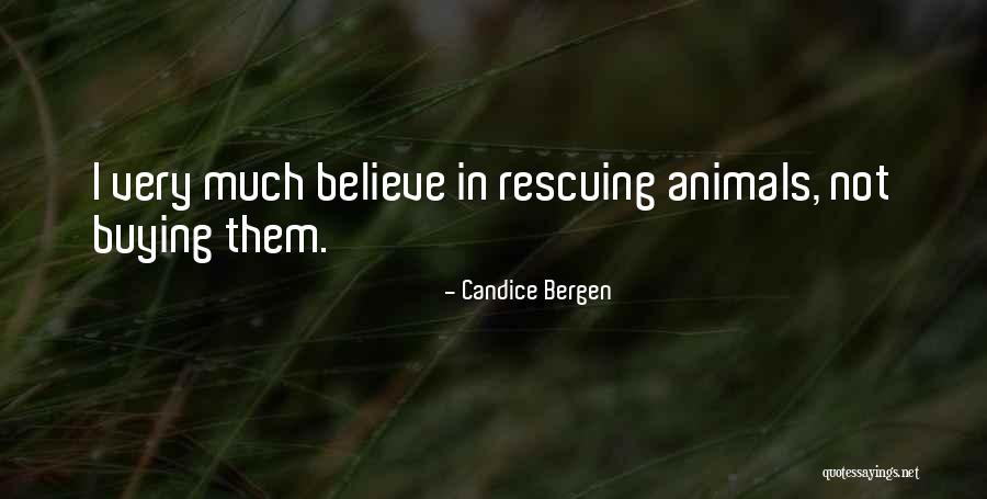 Adelios Contracting Quotes By Candice Bergen