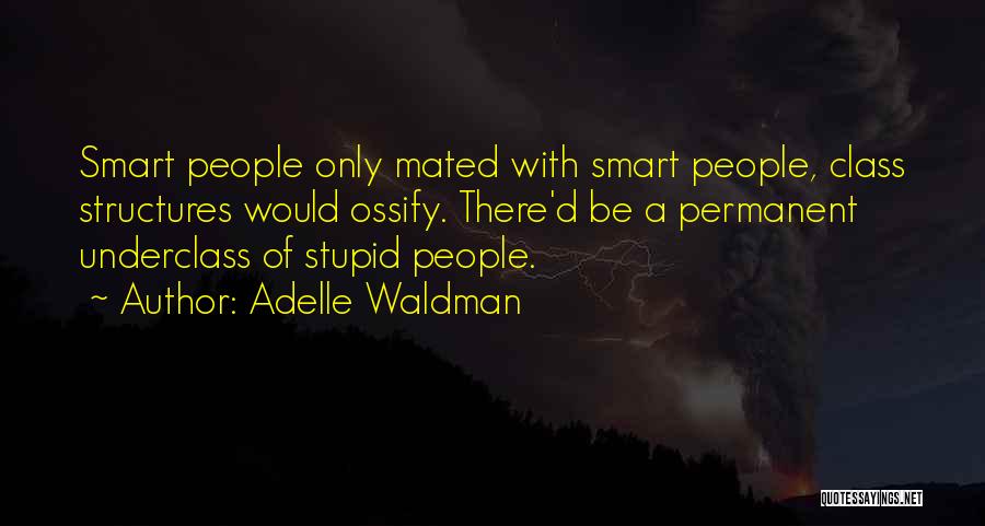 Adelle Waldman Quotes 1836337