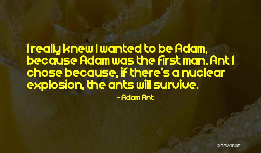 Adelson Testan Quotes By Adam Ant Adelson Testan Quotes By Adam Ant