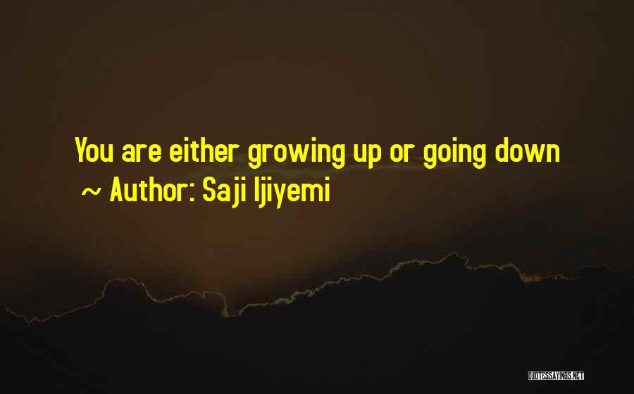 Ademide Adelusi Adeluyi Quotes By Saji Ijiyemi