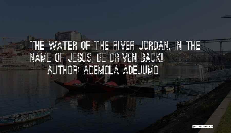 Ademola Adejumo Quotes 2167911