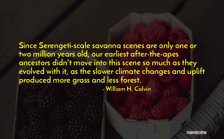 Adenosine Diphosphate Quotes By William H. Calvin Adenosine Diphosphate Quotes By William H. Calvin