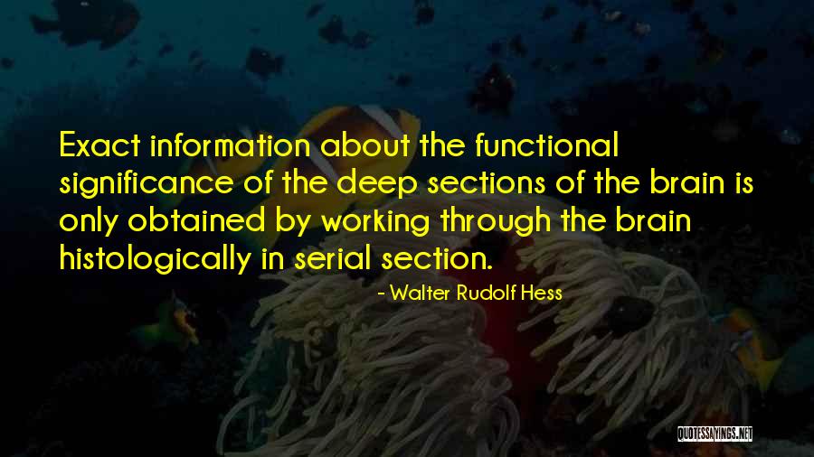 Adenosyl Hydroxy Quotes By Walter Rudolf Hess Adenosyl Hydroxy Quotes By Walter Rudolf Hess