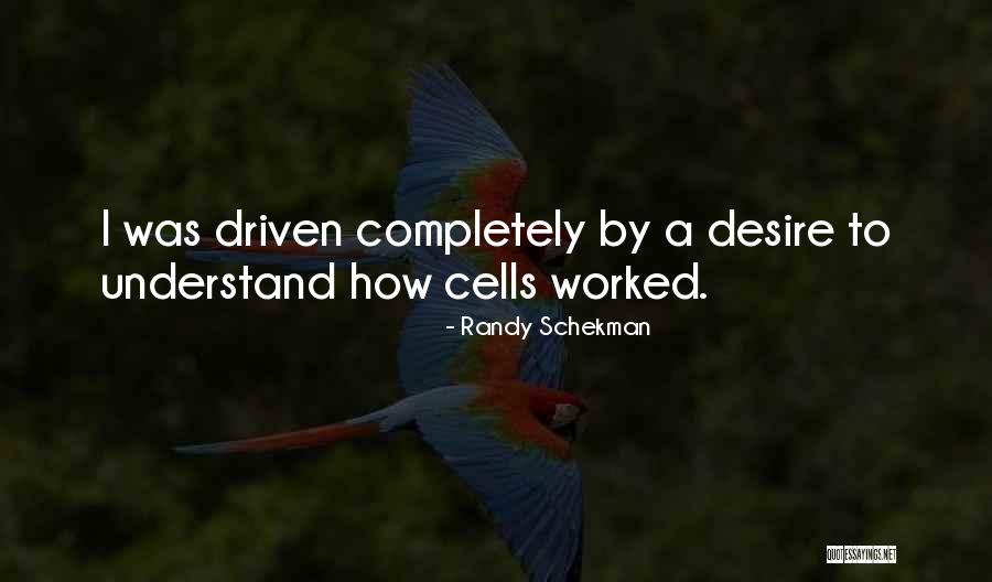 Adepeju Awoyemi Quotes By Randy Schekman Adepeju Awoyemi Quotes By Randy Schekman