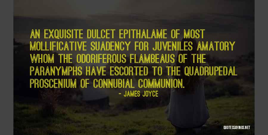 Adepoju Natalie Quotes By James Joyce Adepoju Natalie Quotes By James Joyce