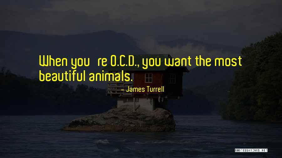 Adeptest Quotes By James Turrell Adeptest Quotes By James Turrell