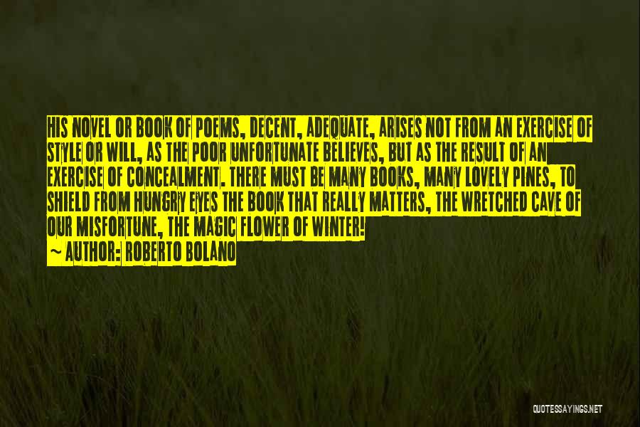 Adequate Quotes By Roberto Bolano