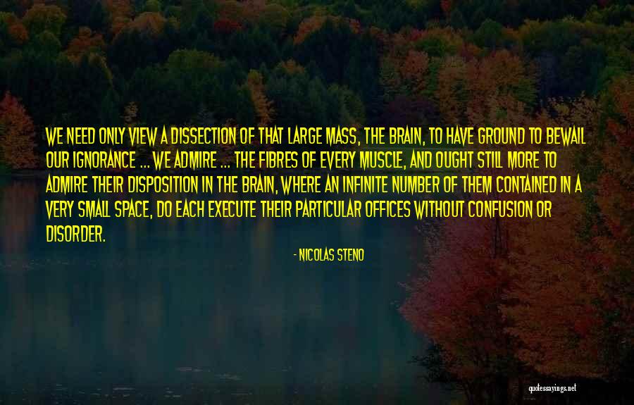 Adetutu Ajagbe Quotes By Nicolas Steno Adetutu Ajagbe Quotes By Nicolas Steno
