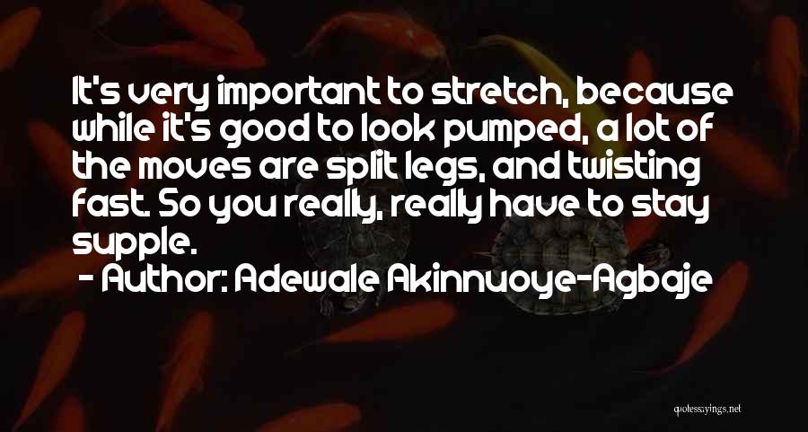 Adewale Akinnuoye-Agbaje Quotes 1831135