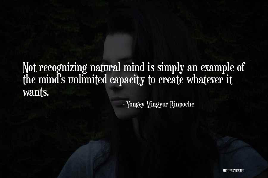 Adewumi Quotes By Yongey Mingyur Rinpoche Adewumi Quotes By Yongey Mingyur Rinpoche