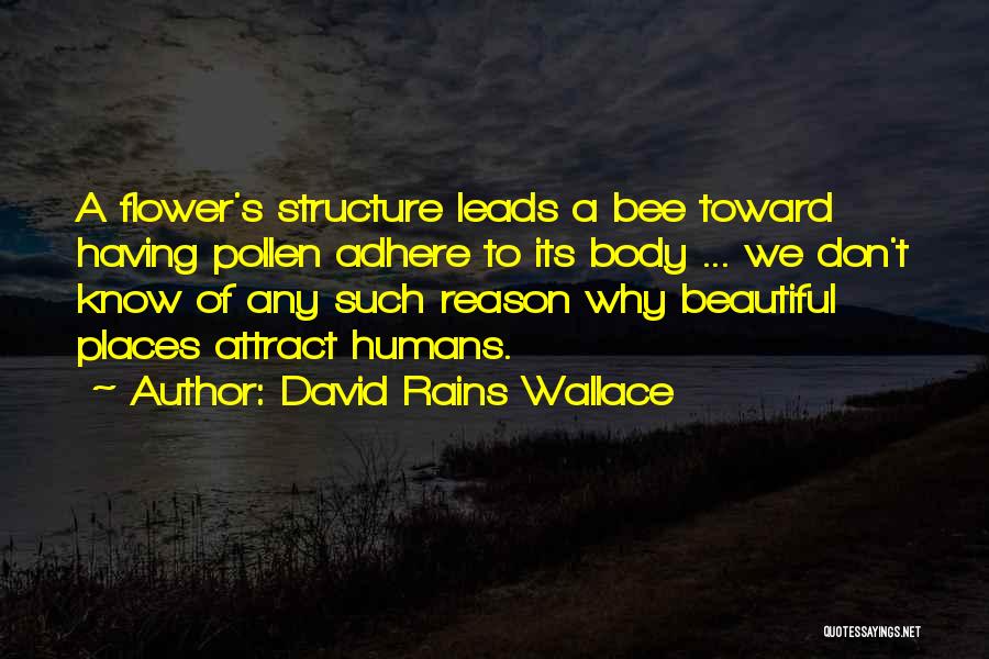 Adhere Quotes By David Rains Wallace