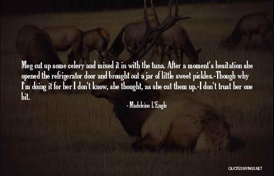 Adhesive Vinyl Wall Quotes By Madeleine L'Engle Adhesive Vinyl Wall Quotes By Madeleine L'Engle
