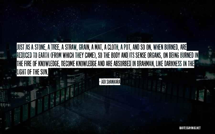 Adi Shankara Quotes 1821678 Adi Shankara Quotes 1821678