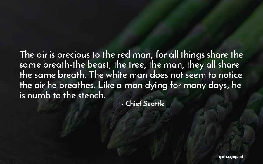 Adiaforia Quotes By Chief Seattle Adiaforia Quotes By Chief Seattle