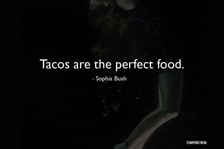 Adicciones Definicion Quotes By Sophia Bush Adicciones Definicion Quotes By Sophia Bush
