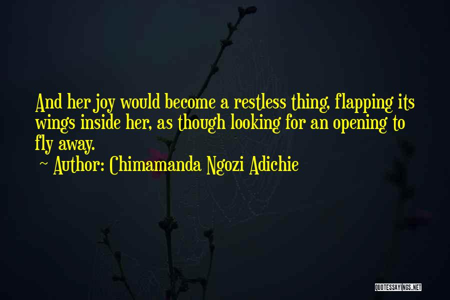 Adichie Quotes By Chimamanda Ngozi Adichie