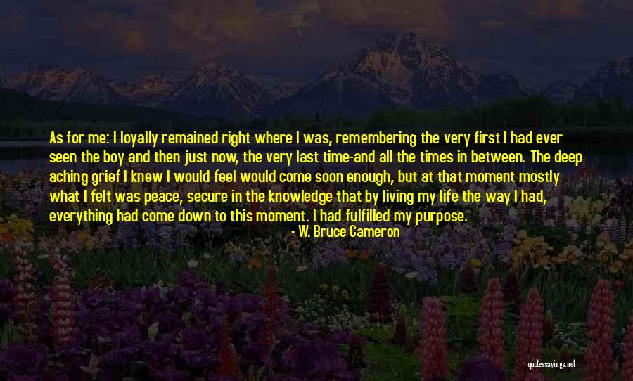 Adilabad Quotes By W. Bruce Cameron Adilabad Quotes By W. Bruce Cameron