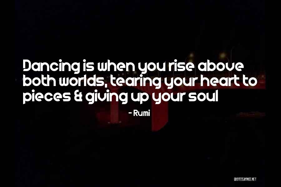 Adilia Animal Beast Quotes By Rumi Adilia Animal Beast Quotes By Rumi