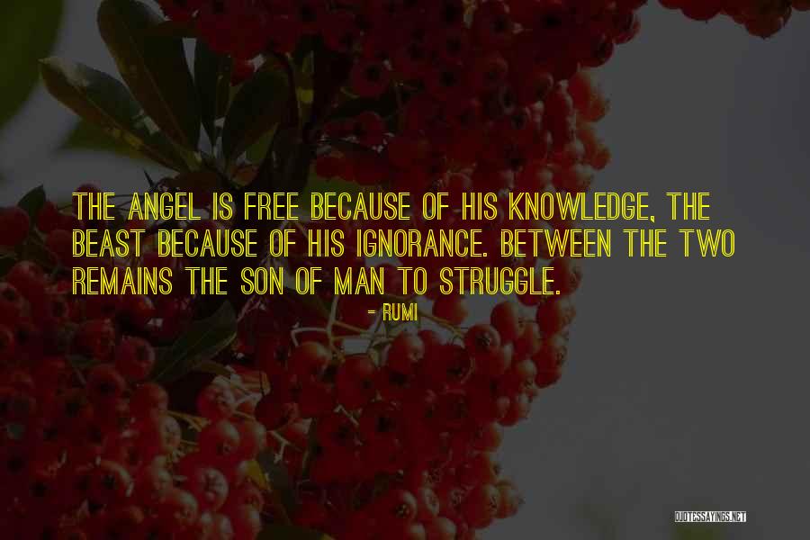 Adimohinimohankanjilal Kanjivaram Quotes By Rumi Adimohinimohankanjilal Kanjivaram Quotes By Rumi