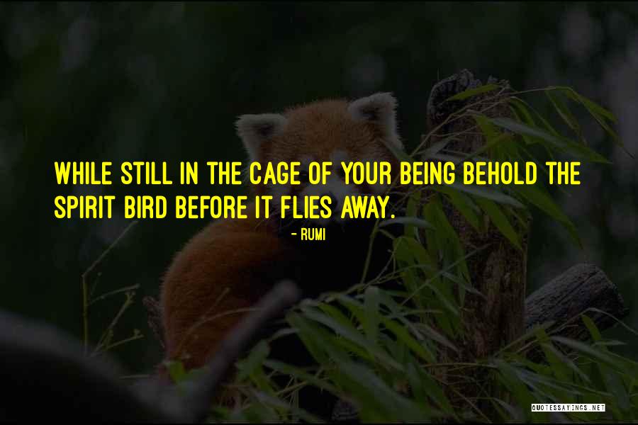 Adisi Adalah Quotes By Rumi Adisi Adalah Quotes By Rumi
