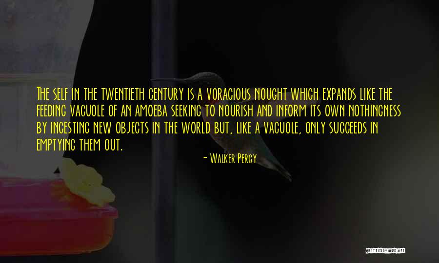 Aditivos Quimicos Quotes By Walker Percy Aditivos Quimicos Quotes By Walker Percy