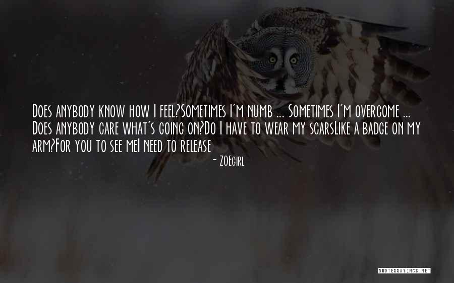 Adivinar Canciones Quotes By ZOEgirl Adivinar Canciones Quotes By ZOEgirl