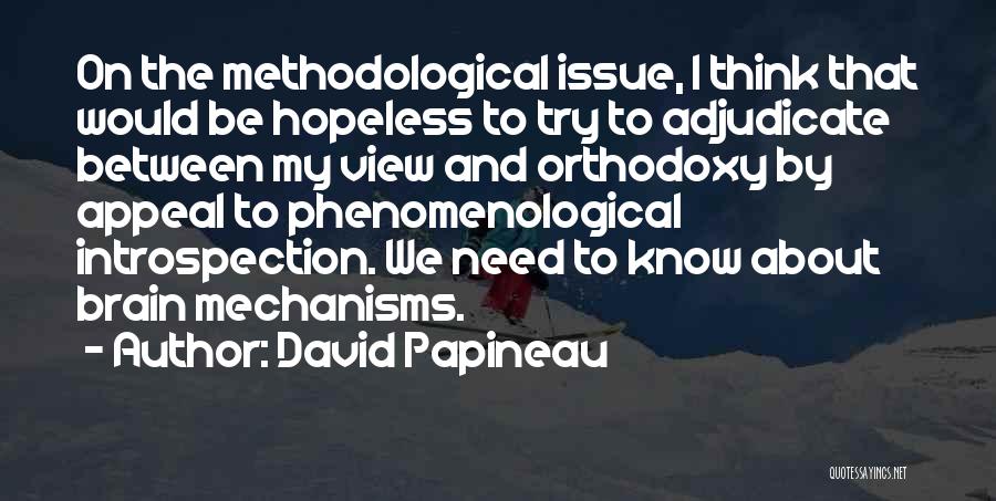 Adjudicate Quotes By David Papineau