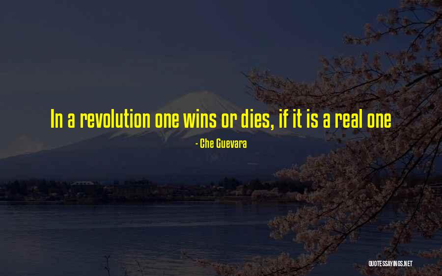 Adjudicative Incompetence Quotes By Che Guevara Adjudicative Incompetence Quotes By Che Guevara