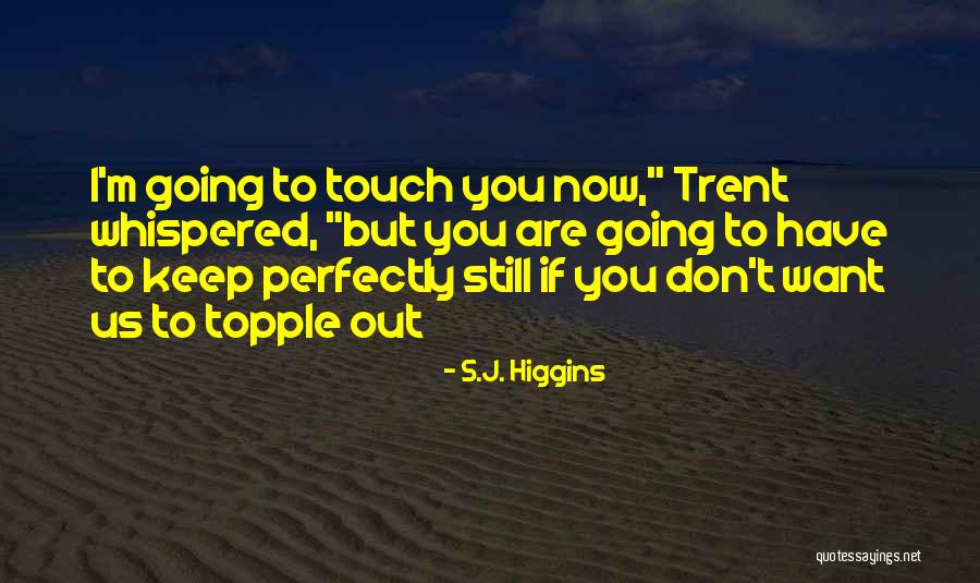Adjuncts And Complements Quotes By S.J. Higgins Adjuncts And Complements Quotes By S.J. Higgins