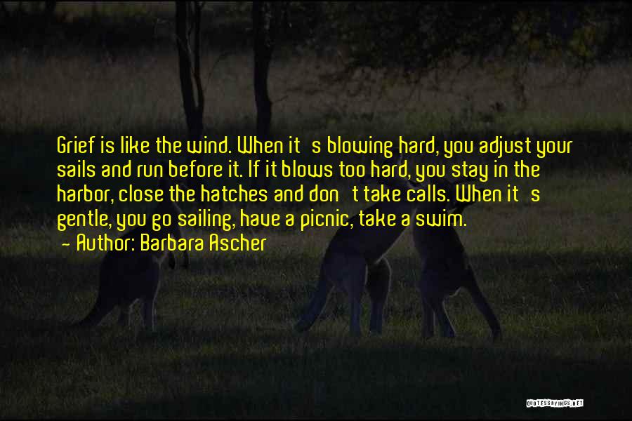 Adjust The Sails Quotes By Barbara Ascher