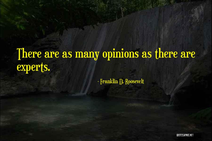 Adjuster Academy Quotes By Franklin D. Roosevelt Adjuster Academy Quotes By Franklin D. Roosevelt
