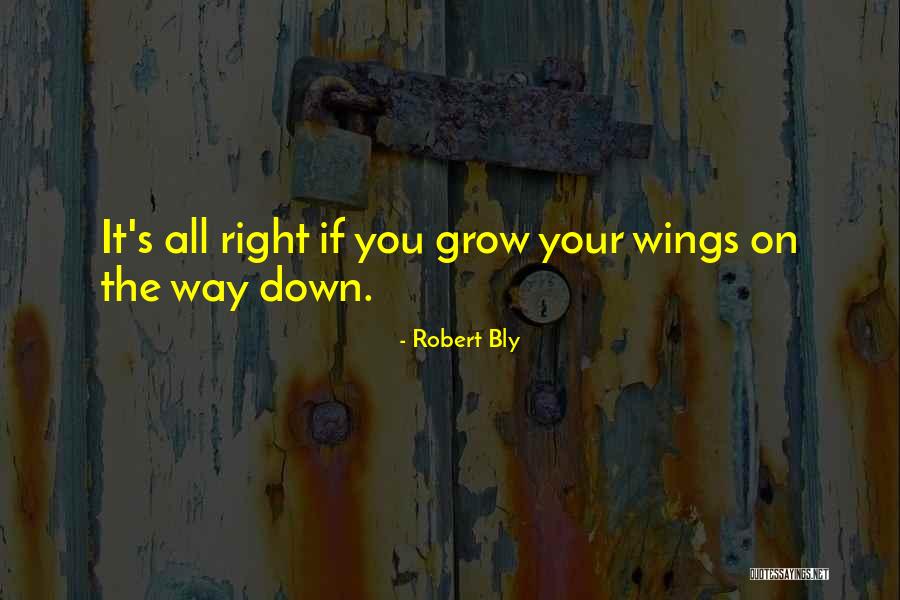 Adkisson Construction Quotes By Robert Bly Adkisson Construction Quotes By Robert Bly