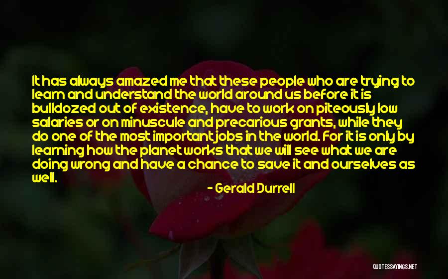 Adlestrop Cricket Quotes By Gerald Durrell Adlestrop Cricket Quotes By Gerald Durrell