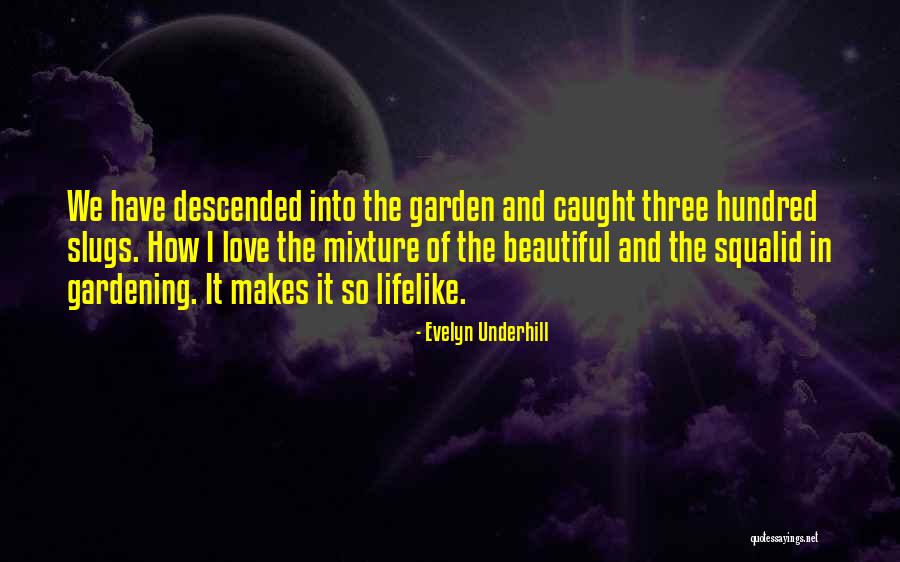 Admindroid Quotes By Evelyn Underhill Admindroid Quotes By Evelyn Underhill
