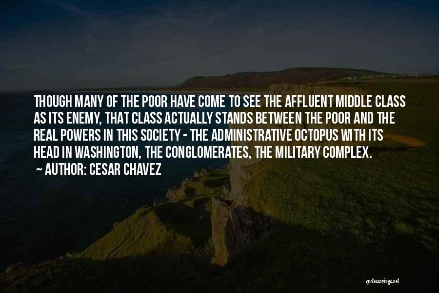 Administrative Quotes By Cesar Chavez