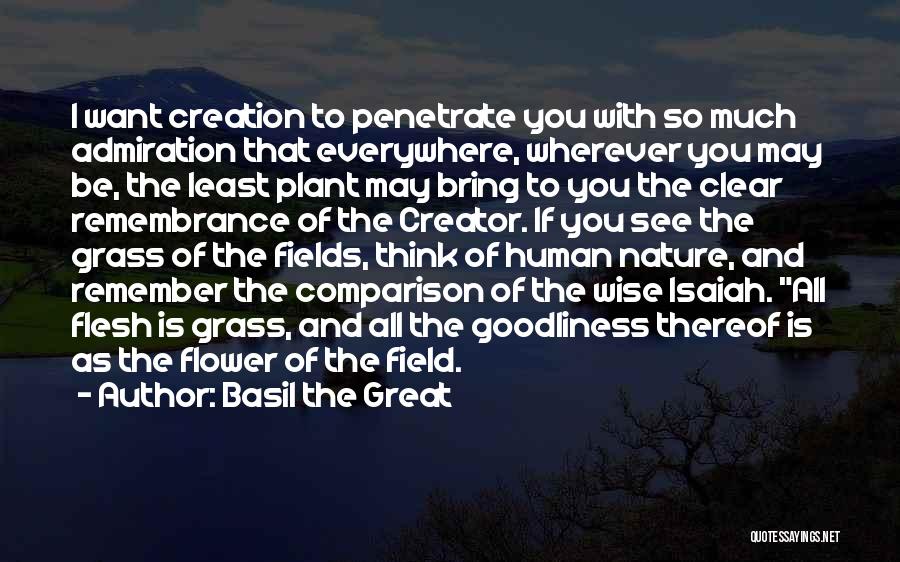Admiration Of Nature Quotes By Basil The Great
