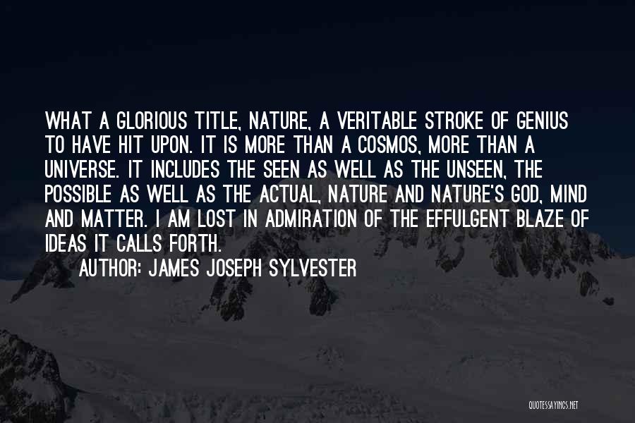 Admiration Of Nature Quotes By James Joseph Sylvester