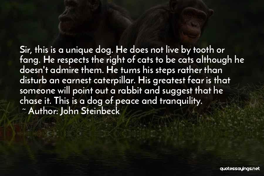 Admire Quotes By John Steinbeck