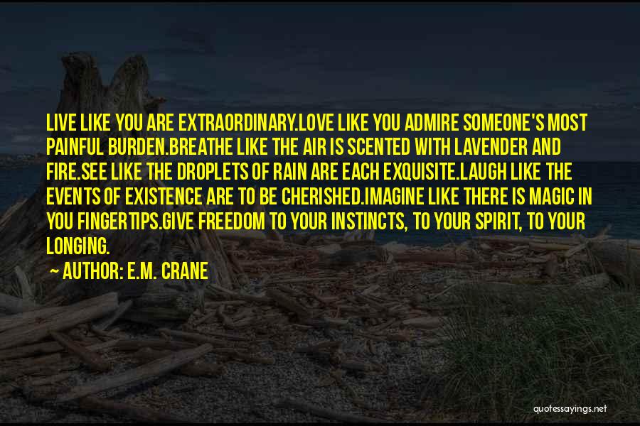 Admire With Someone Quotes By E.M. Crane