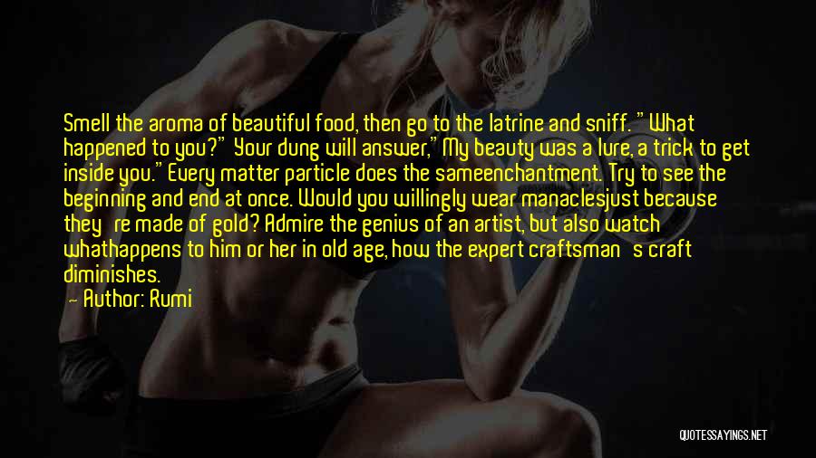 Admire Your Beauty Quotes By Rumi