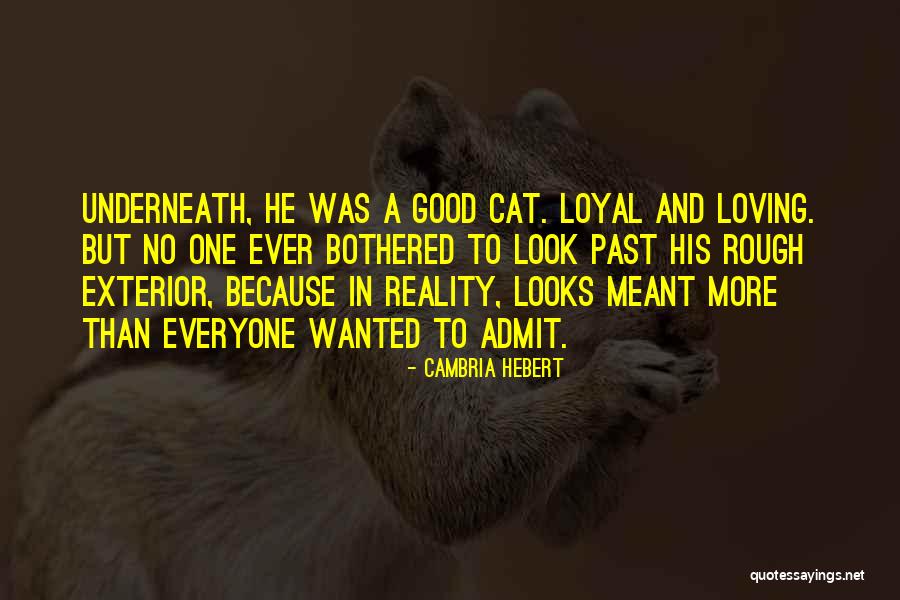 Admit Truth Quotes By Cambria Hebert Admit Truth Quotes By Cambria Hebert