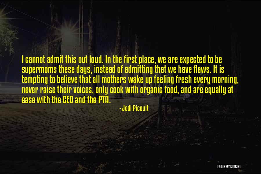 Admitting Flaws Quotes By Jodi Picoult