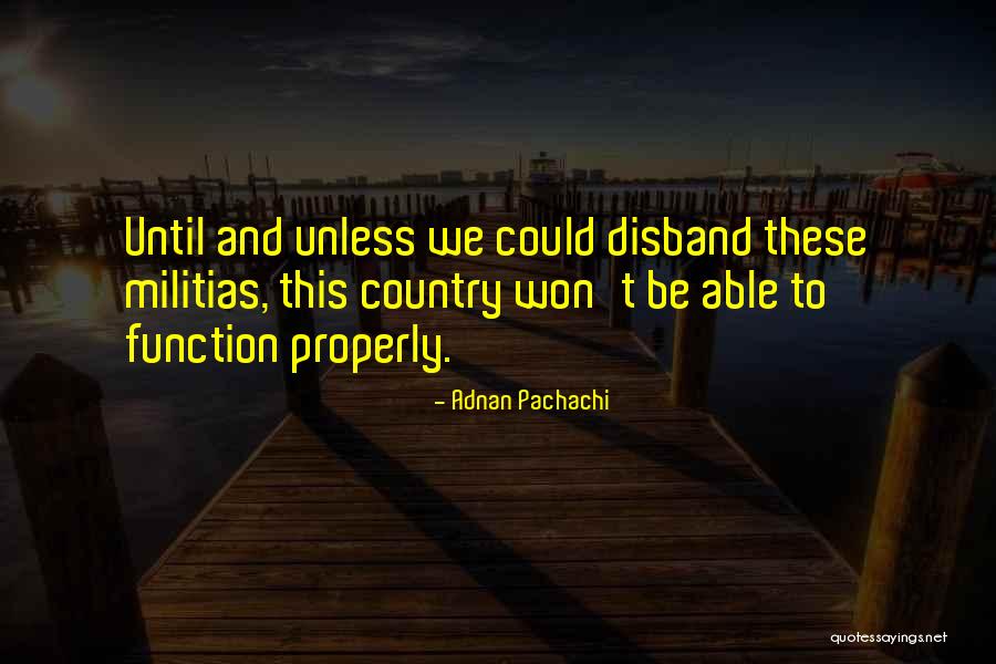 Adnan Pachachi Quotes 1076279