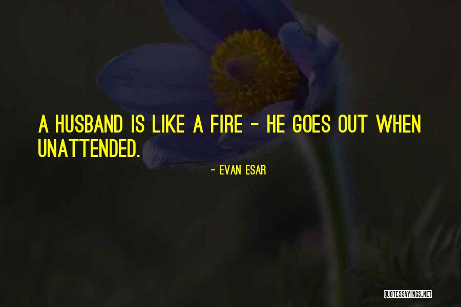 Adobo Sauce Quotes By Evan Esar Adobo Sauce Quotes By Evan Esar