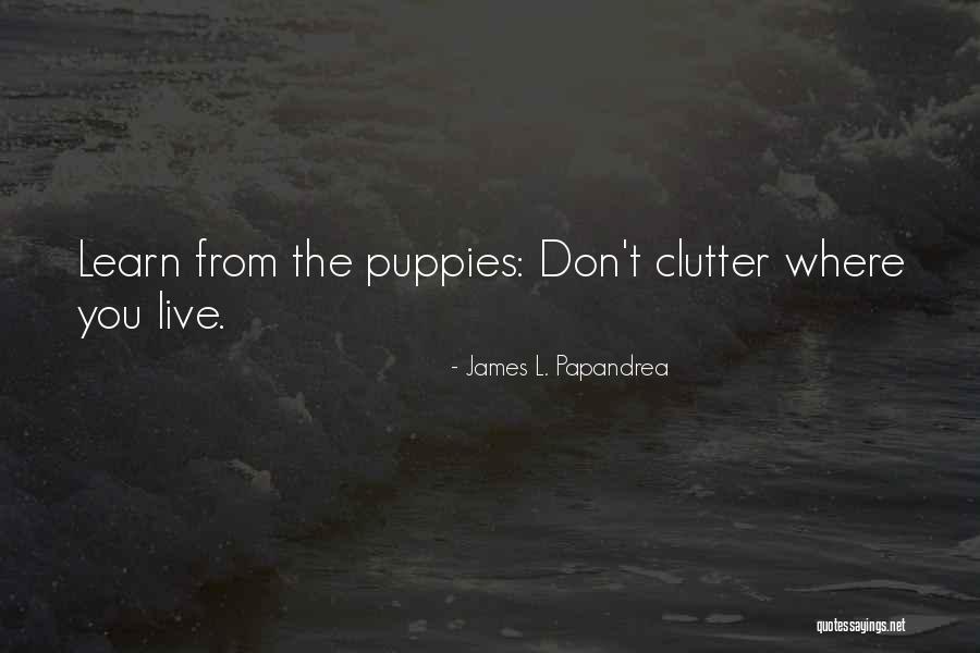 Adof Quotes By James L. Papandrea Adof Quotes By James L. Papandrea