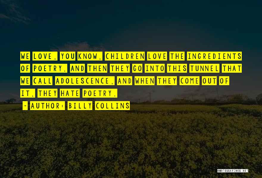 Adolescence Quotes By Billy Collins