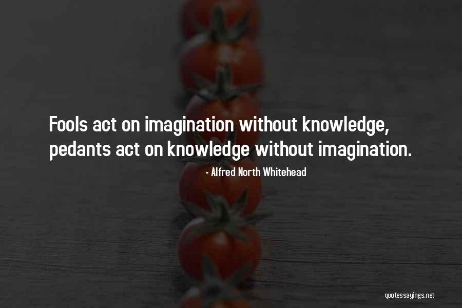 Adolescenti Italiani Quotes By Alfred North Whitehead Adolescenti Italiani Quotes By Alfred North Whitehead