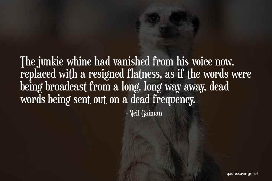 Adolescentului Quotes By Neil Gaiman Adolescentului Quotes By Neil Gaiman