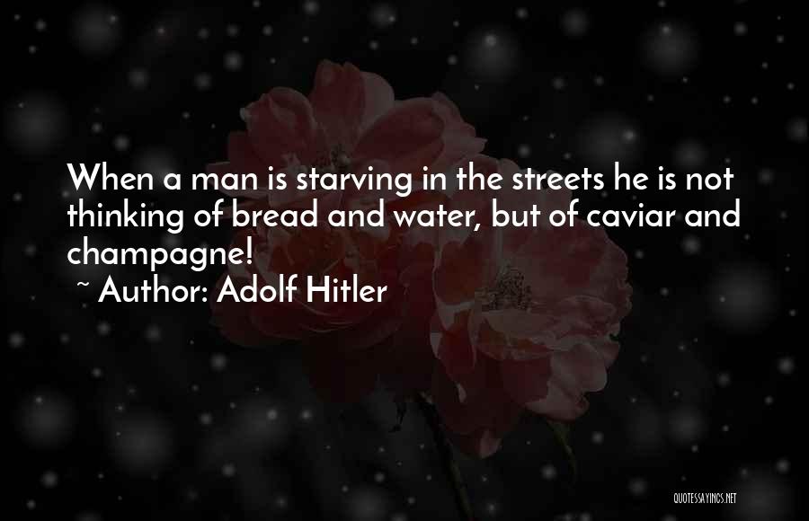 Adolf Hitler Quotes 738825